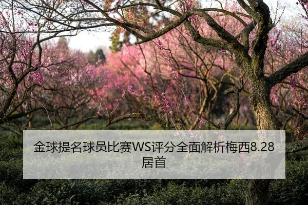 img_1789573726473_1439_0_246.jpg | kaiyun